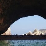 Tour Islas Ballestas y Huacachina