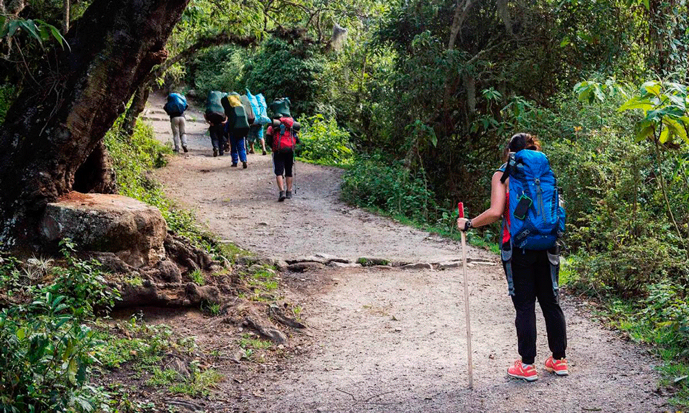 Machupicchu Journey