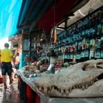 City-Tour-Iquitos-Mercado-de-Belen
