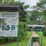 Excursión-a-la-Isla-de-los-Monos-Iquitos-Full-Day