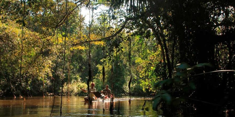Excursión a la Reserva Nacional de Pacaya Samiria 5D/.4N.