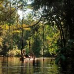Excursión a la Reserva Nacional de Pacaya Samiria 5D/4N..