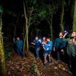 Reserva nacional de Tamshiyacu Tour nocturno