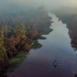Excursión a la Reserva de Tamshiyacu 4D 3N.