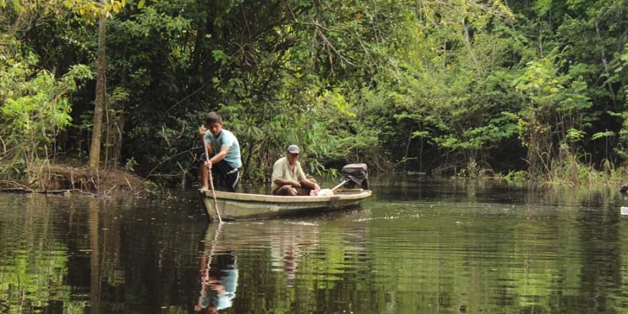 Excursión a la Reserva de Tamshiyacu 4D 3N ..