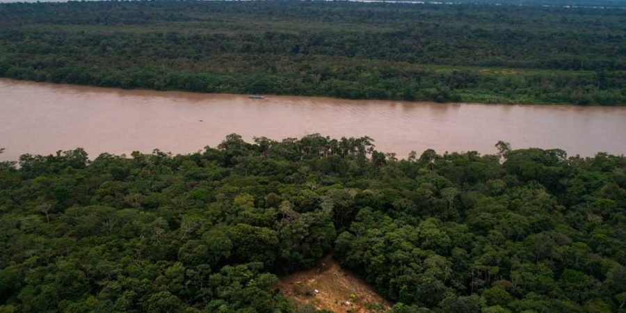 Reserva Natural de Tamshiyacu Aves