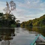 Full Day Reserva Pacaya Samiria