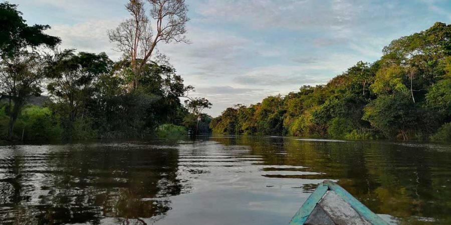 Full Day Reserva Pacaya Samiria