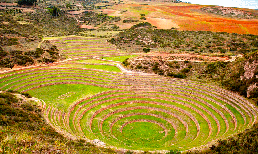 Moray Historia 