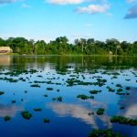 Reserva Nacional de Pacaya Samiria
