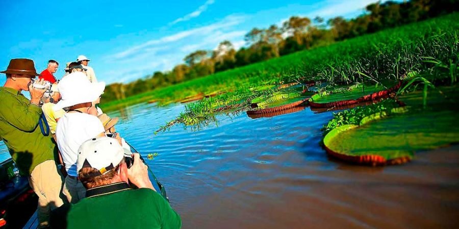 Reserva Nacional de Pacaya Samiria excursión