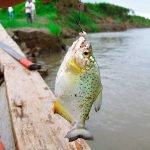 Tour Pesca de Pirañas + Zoologico Amazonico - Full Day