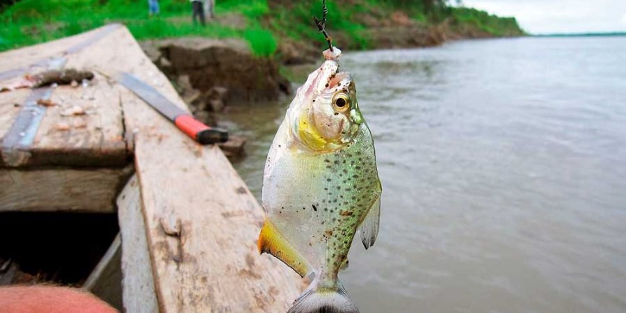 Tour Pesca de Pirañas + Zoologico Amazonico - Full Day