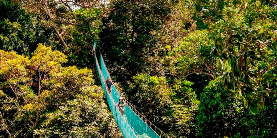 canopy turismo