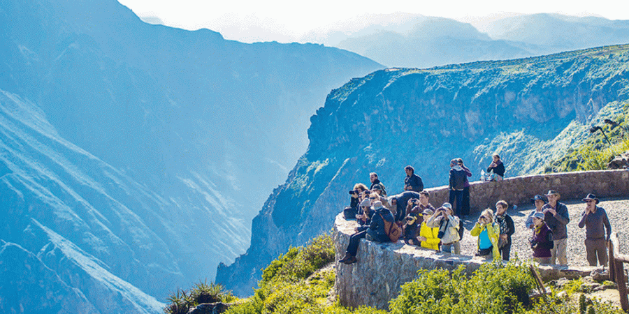 Desde Arequipa : Excursión al Cañón del Colca 1D